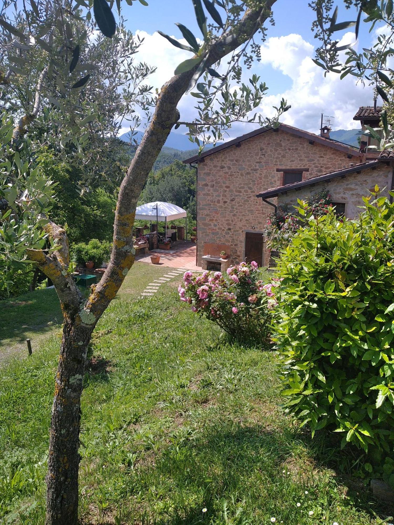 Villa Belvedere Pieve Fosciana Exteriör bild
